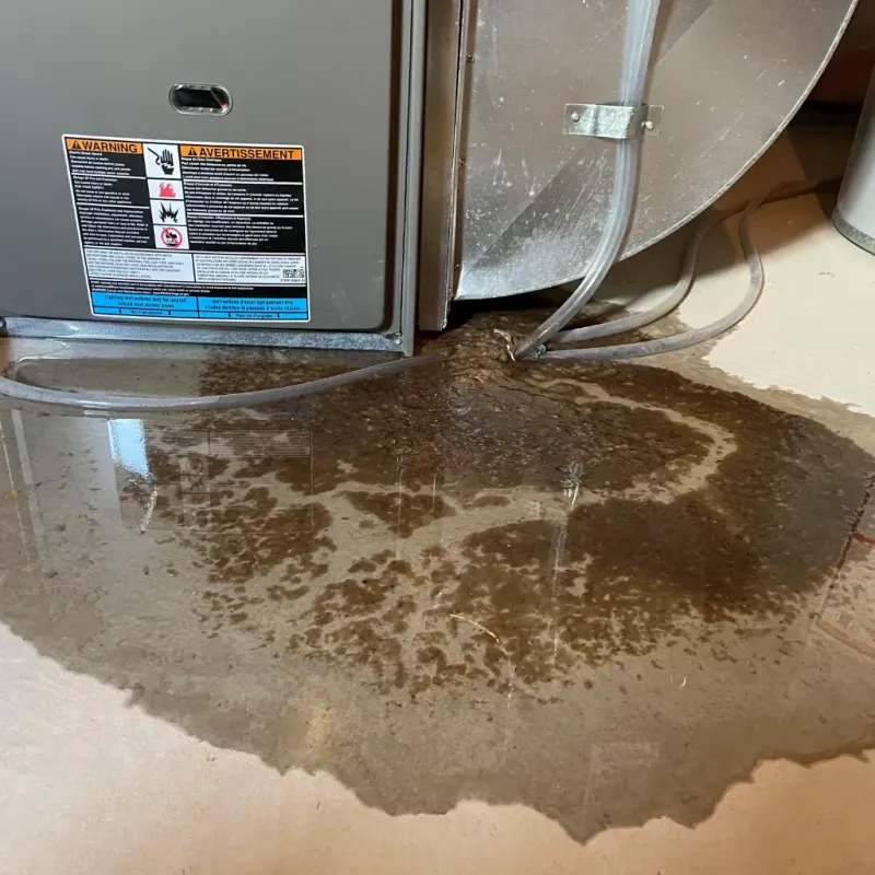 Appliance Leak Cleanup in Franklin, PA