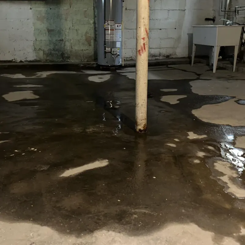 Emergency Water Extraction And Removal in Franklin, PA